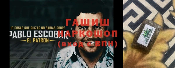 индика Елабуга