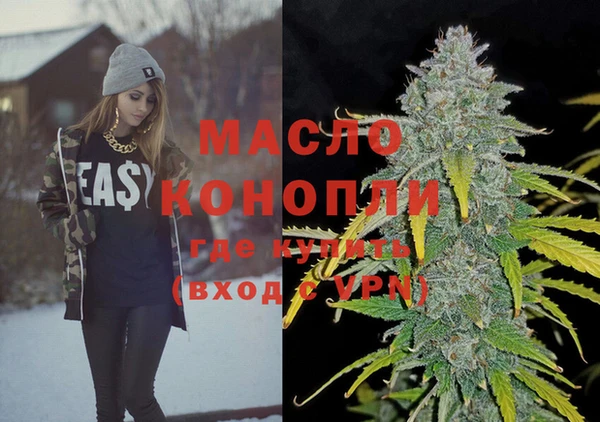 крисы Ельня
