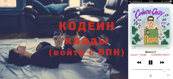тгк Елизово