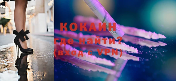 индика Елабуга