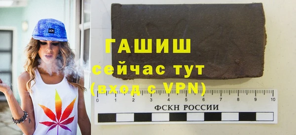 индика Елабуга