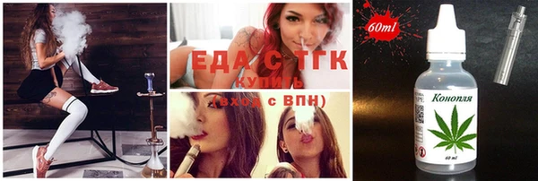 тгк Елизово