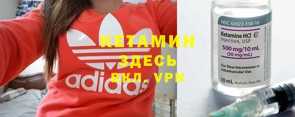 крисы Ельня