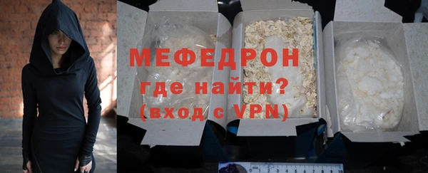 индика Елабуга