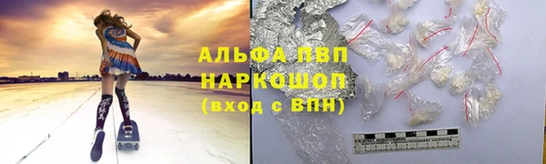 крисы Ельня