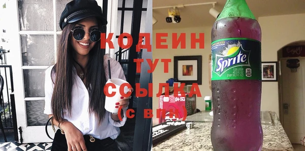крисы Ельня