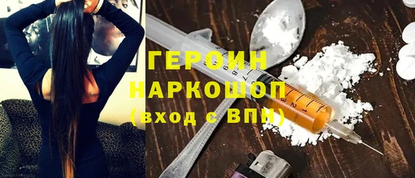 индика Елабуга