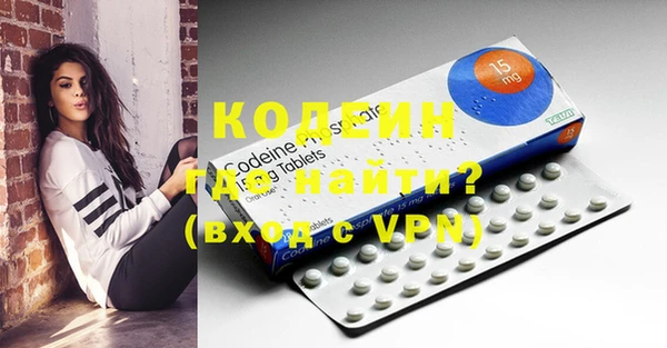 индика Елабуга