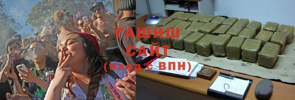 крисы Ельня