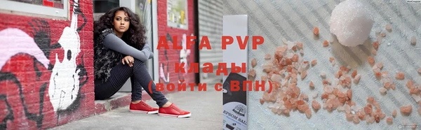 индика Елабуга